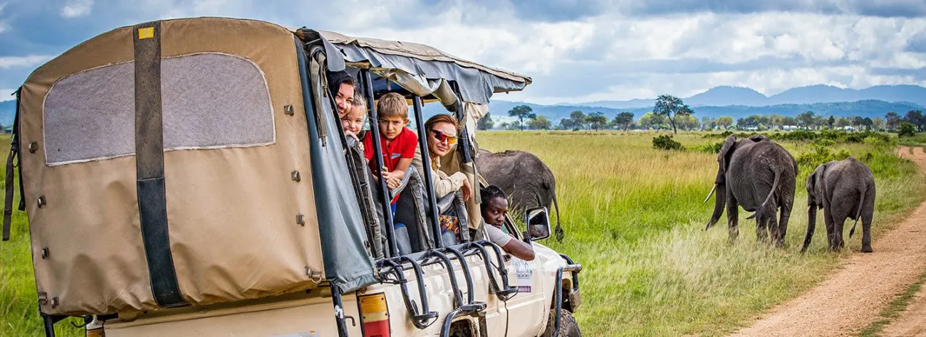Ngorongoro Conservation Area Guide